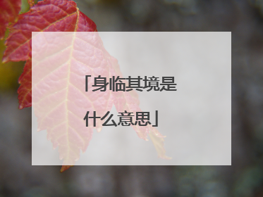 身临其境是什么意思