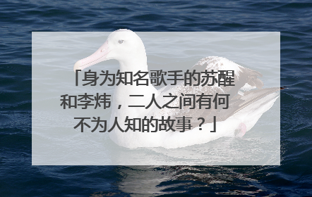 身为知名歌手的苏醒和李炜,二人之间有何不为人知的故事?