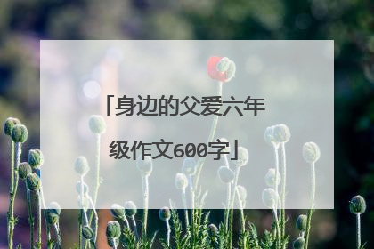 身边的父爱六年级作文600字