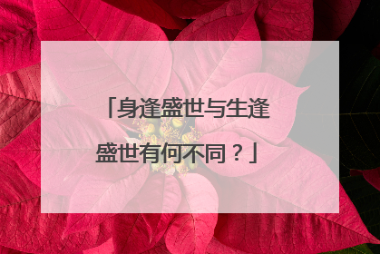 身逢盛世与生逢盛世有何不同?