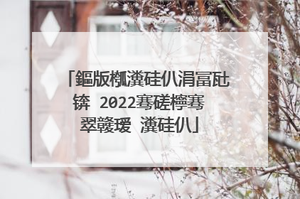 鏂版槬瀵硅仈涓冨瓧锛�2022骞磋檸骞翠竷瑷�瀵硅仈