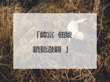 鍏冨�佃妭鐨勬潵鍘�