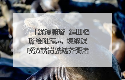 鍒濅腑璇�鏂囬槄璇绘暀瀛︽�堜緥鍒嗘瀽锛岃皝鑳芥彁渚涗竴浠借寖鏂囧憿