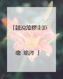 鍒涗笟椤圭洰璁″垝涔�