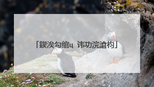 鍥涘勾绾ц�讳功浣滄枃