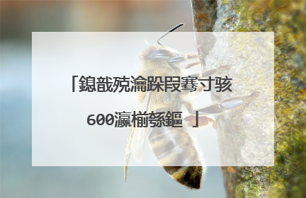 鎴戠殑瀹跺叚骞寸骇600瀛椾綔鏂�