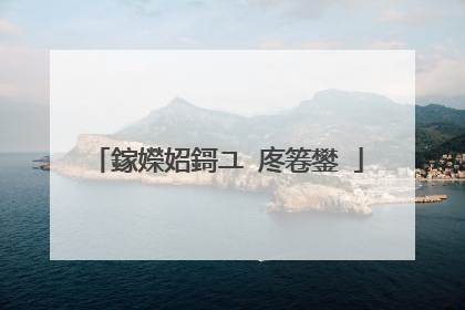 鎵嬫妱鎶ユ�庝箞鐢�