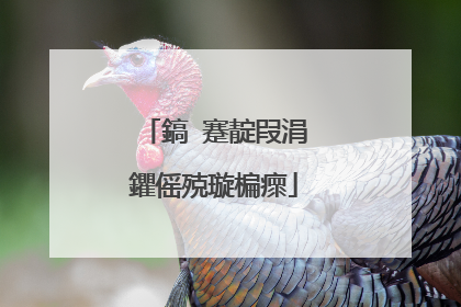 鎬�蹇靛叚涓�鑺傜殑璇楄瘝