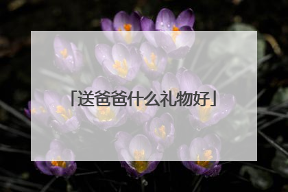 送爸爸什么礼物好