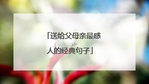送给父母亲最感人的经典句子