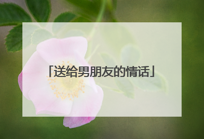 送给男朋友的情话