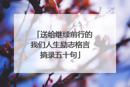 送给继续前行的我们人生励志格言摘录五十句