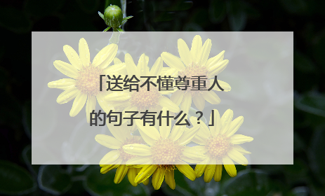 送给不懂尊重人的句子有什么？