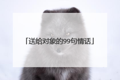 送给对象的99句情话