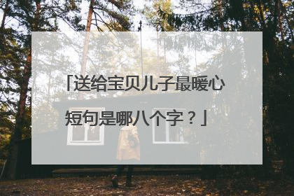 送给宝贝儿子最暖心短句是哪八个字?