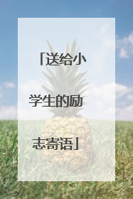 送给小学生的励志寄语