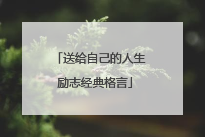 送给自己的人生励志经典格言
