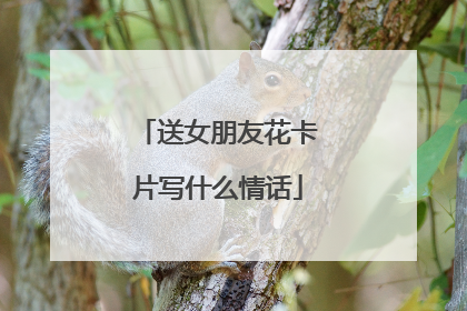 送女朋友花卡片写什么情话