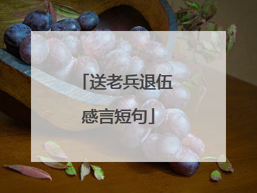 送老兵退伍感言短句