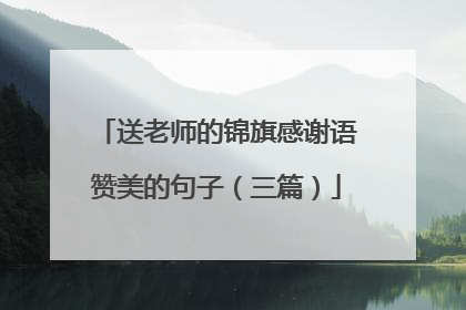 送老师的锦旗感谢语赞美的句子(三篇)