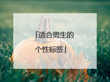 适合男生的个性标签