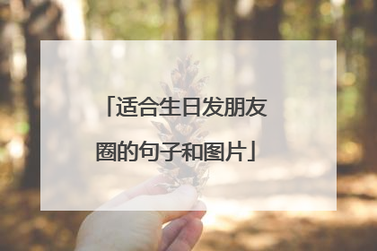 适合生日发朋友圈的句子和图片