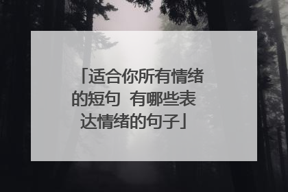 适合你所有情绪的短句 有哪些表达情绪的句子