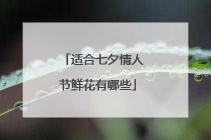 适合七夕情人节鲜花有哪些