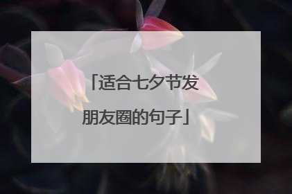 适合七夕节发朋友圈的句子