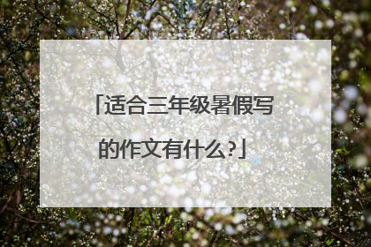 适合三年级暑假写的作文有什么?