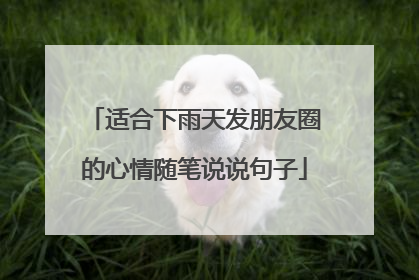 适合下雨天发朋友圈的心情随笔说说句子