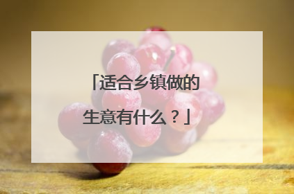 适合乡镇做的生意有什么？