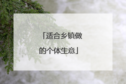 适合乡镇做的个体生意