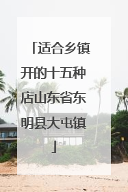 适合乡镇开的十五种店山东省东明县大屯镇
