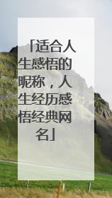 适合人生感悟的昵称，人生经历感悟经典网名