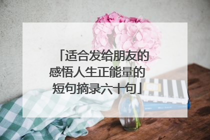 适合发给朋友的感悟人生正能量的短句摘录六十句