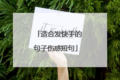 适合发快手的句子伤感短句
