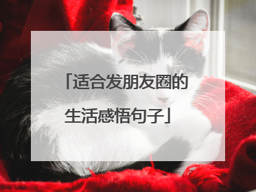适合发朋友圈的生活感悟句子