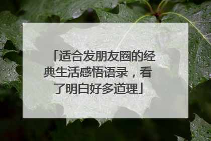 适合发朋友圈的经典生活感悟语录,看了明白好多道理