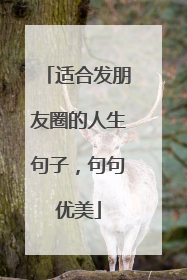 适合发朋友圈的人生句子，句句优美