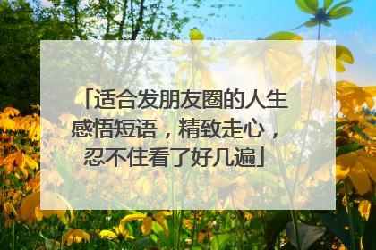 适合发朋友圈的人生感悟短语,精致走心,忍不住看了好几遍