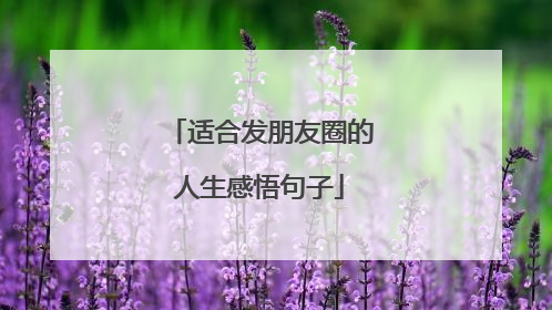 适合发朋友圈的人生感悟句子
