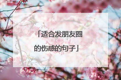 适合发朋友圈的伤感的句子