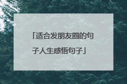 适合发朋友圈的句子人生感悟句子