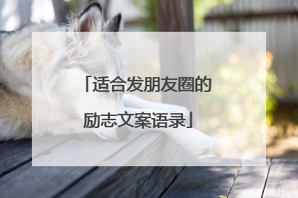 适合发朋友圈的励志文案语录