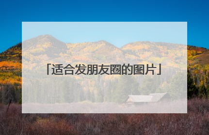 适合发朋友圈的图片