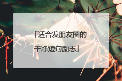 适合发朋友圈的干净短句励志