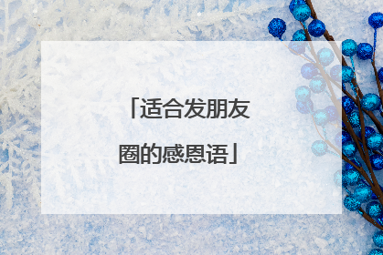 适合发朋友圈的感恩语