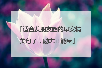 适合发朋友圈的早安精美句子，励志正能量