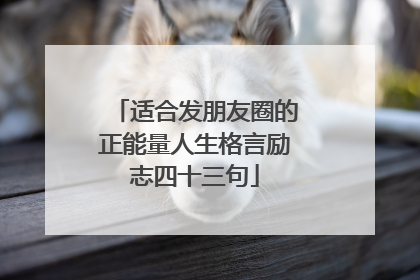 适合发朋友圈的正能量人生格言励志四十三句